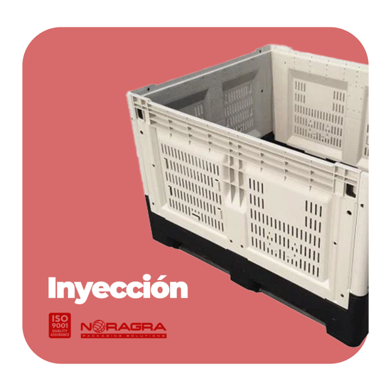 Inyección Categoría Noragra